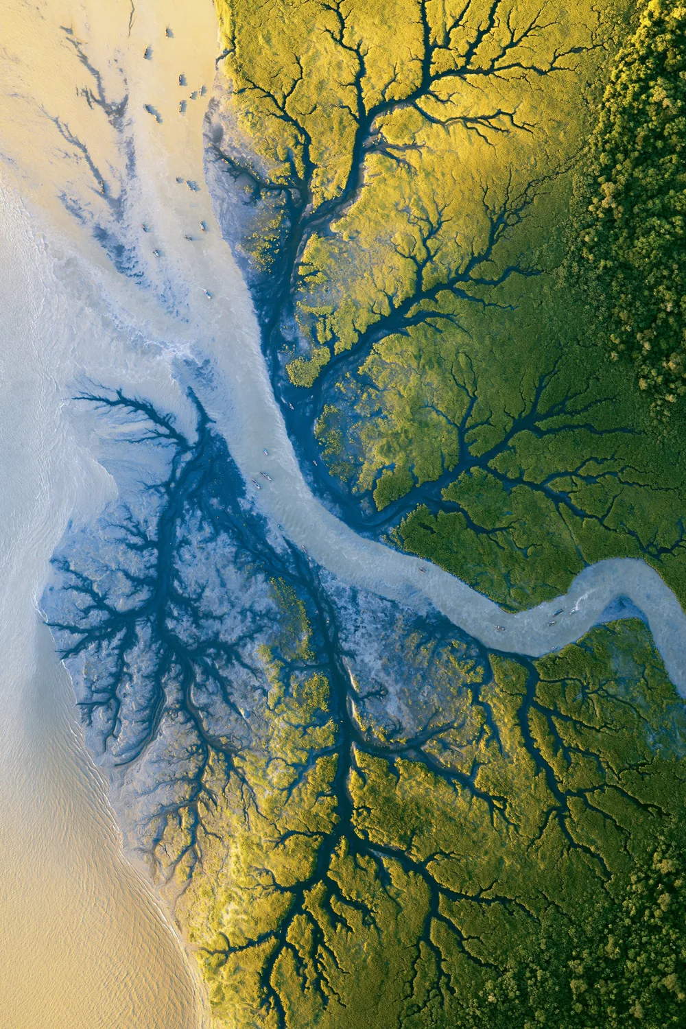 River Delta — One Becoming Many
