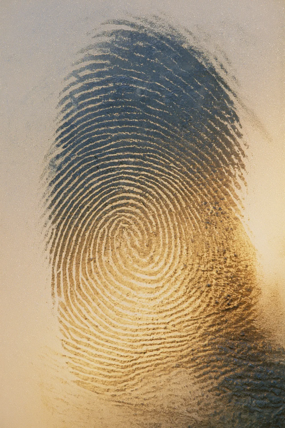 Fingerprint — For My Sake the World Was Created